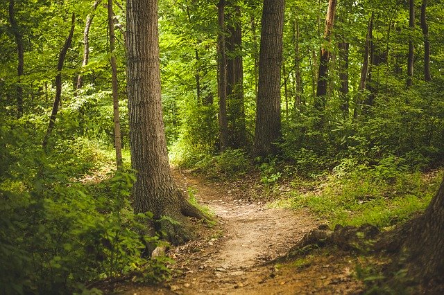 Isportellu de Limba Sarda de Nughedu