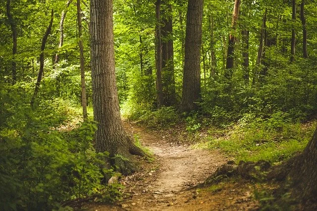 Isportellu de Limba Sarda de Nughedu