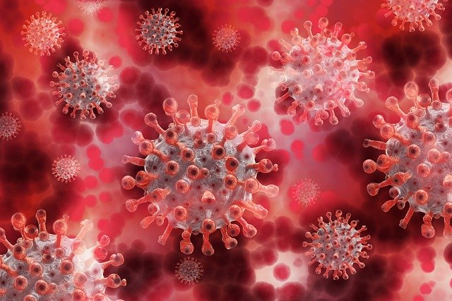 EMERGENZA CORONAVIRUS AVVISO SOSPENSIONE PROCEDIMENTI